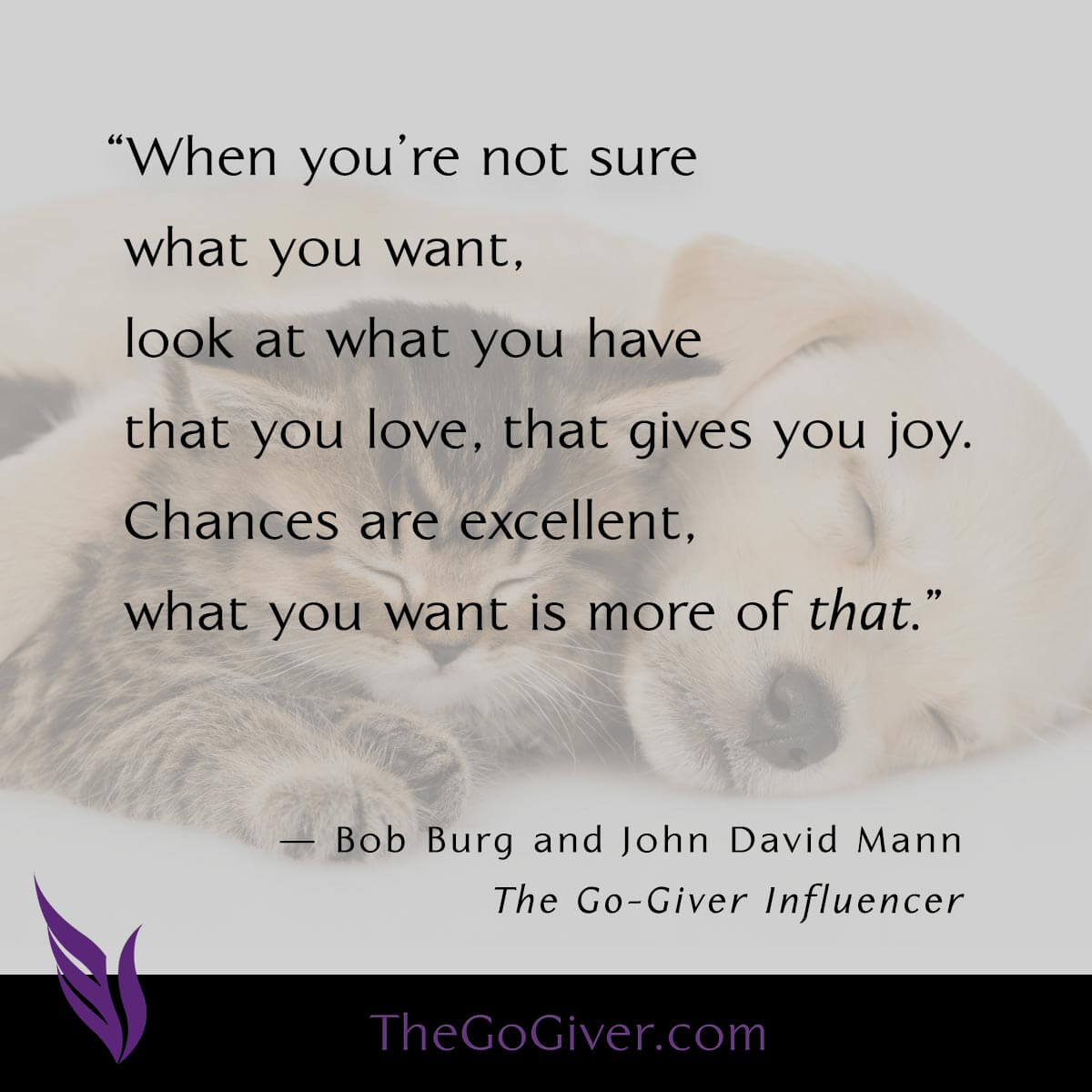 When you're not sure what you want, look at what you have that you love, that gives you joy. Chances are excellent, what you want is more of that. - The Go-Giver Influencer